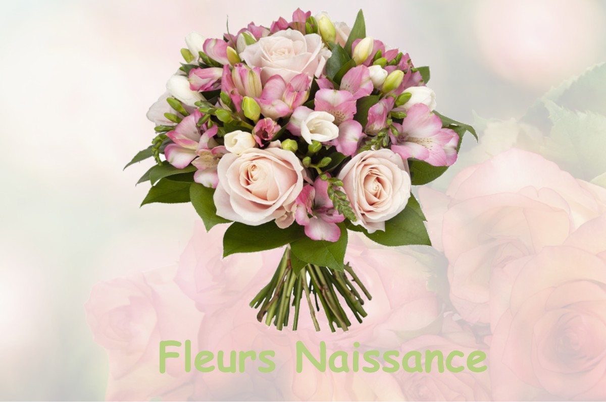 fleurs naissance RUFFEY-LE-CHATEAU